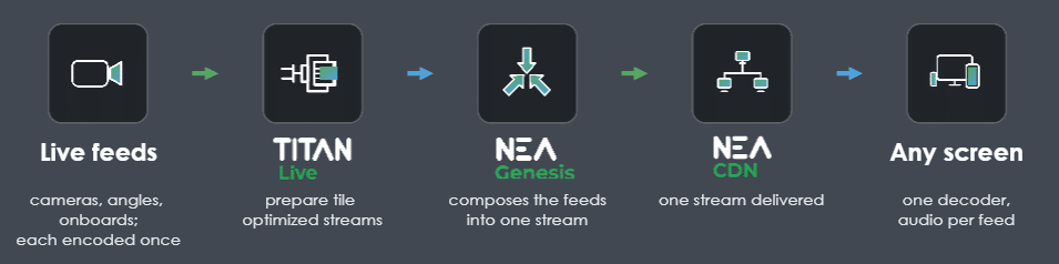 multiview workflow TITAN NEA